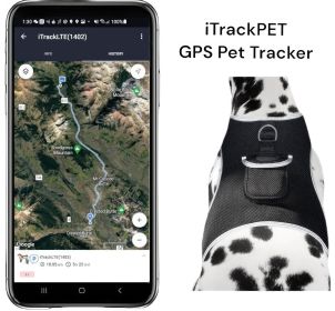 Realtime Mobile Phone Pet Tracking GSM GPS System Mini Location Finder Size:M
